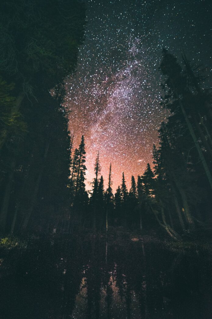 casey-horner-weTLZTLeqeI-unsplash
